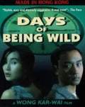 Days of Being Wild OST
