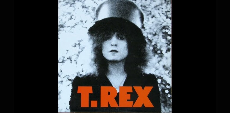 Ballrooms Of Mars, перевод песни T.REX